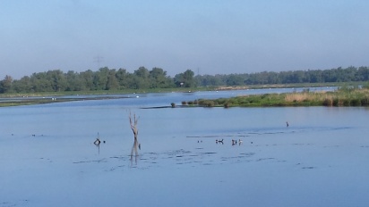 biesbosch.JPG