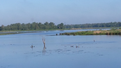 biesbosch.JPG