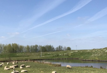 Kleine%20Schans%20Terheijden%20website.jpg