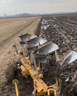 Ploegen%20in%20de%20polder%20RdT.jpg